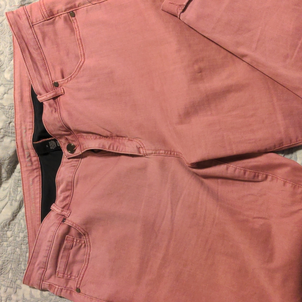 Lane Bryant Super Stretch Jeans